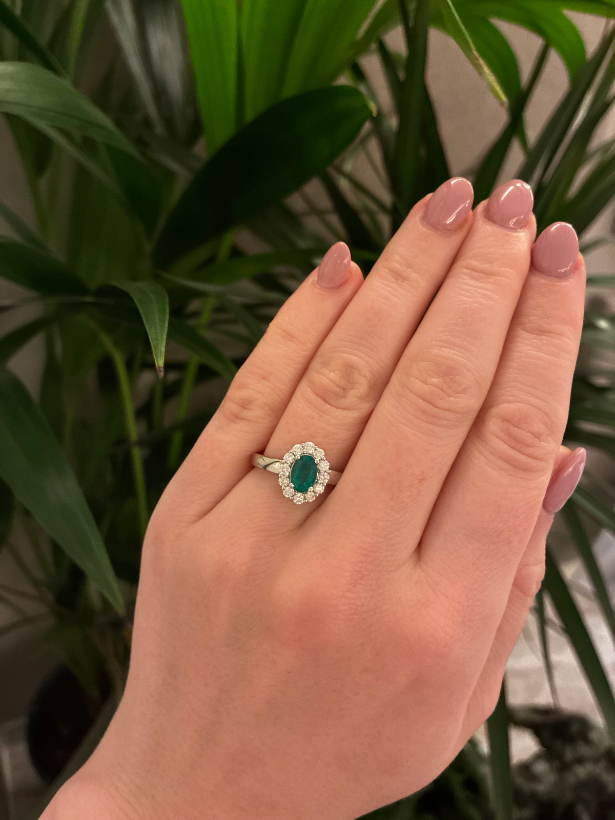 Elegant diamond ring from The Windsor collection by Appleby Jewellers Dublin, featuring a sparkling central diamond and intricate band.