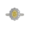 Kate Flower - Yellow Diamond