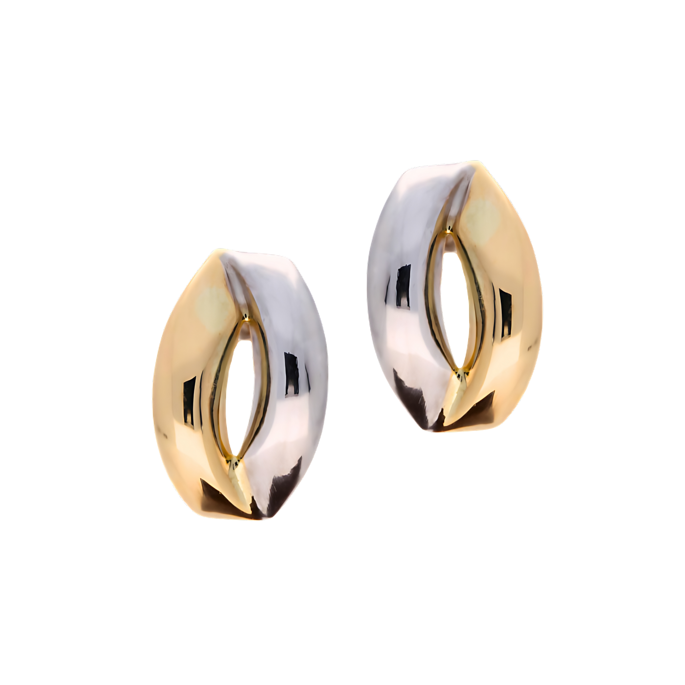 Dual Tone Earrings