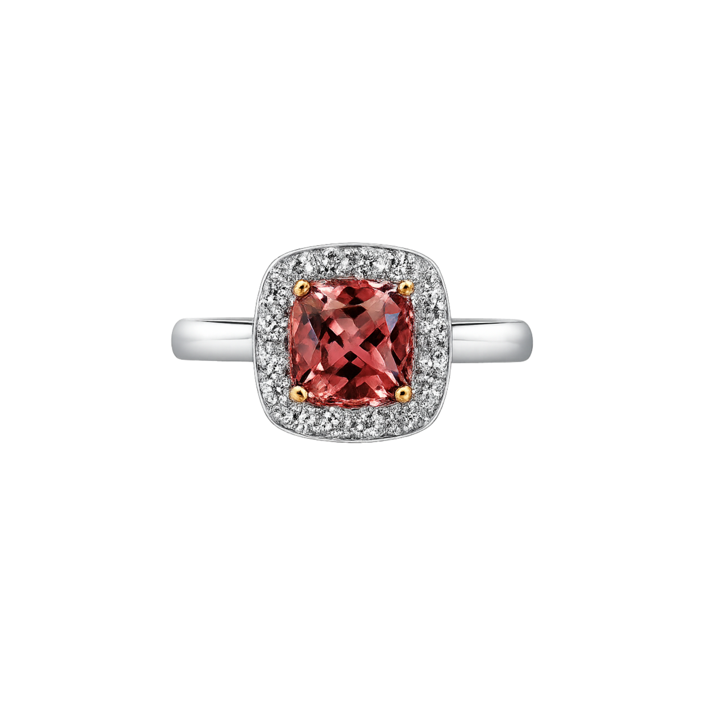 The Cleo - White Gold - Appleby Jewellers Dublin